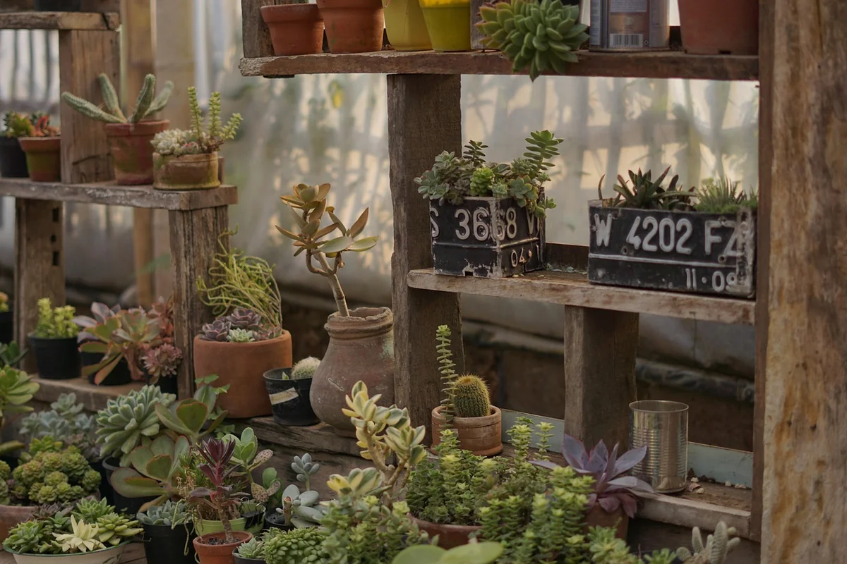 La boutique du jardinier : guide complet 2026 des meilleurs outils et conseils